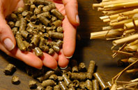 free Mumbles biomass boiler quotes